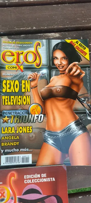 LOTE REVISTA ADULTOS WET COMIX