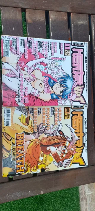 LOTE REVISTA ADULTOS WET COMIX