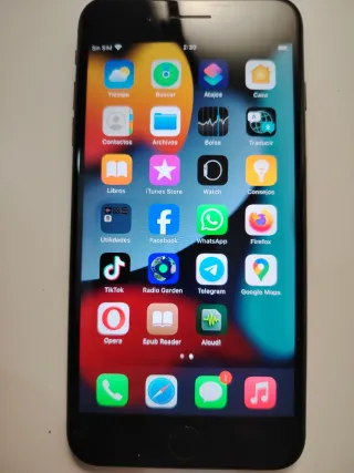 iPhone 7 Plus Negro/Plateado