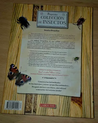 Libro Pequeña Colección de Insectos