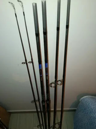 2 Canne da Carpfishing e treppiede