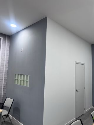 Especialista En Pintura y Pladur Albañil