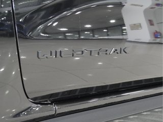 Ford Ranger 2.3 TIVCT PHEV e-AWD D Cab Wildtrack AT