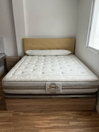 ¡Liquidación Canapés Valencia! 2 Almohadas Regalo