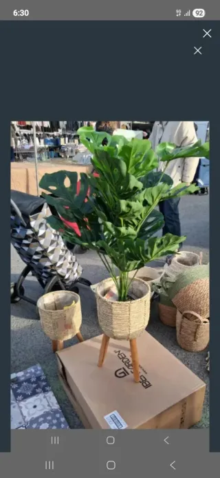 Macetero con planta de mimbre y madera