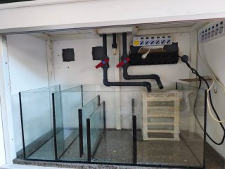 Acuario Marino, urna, mueble, sump y tuberias