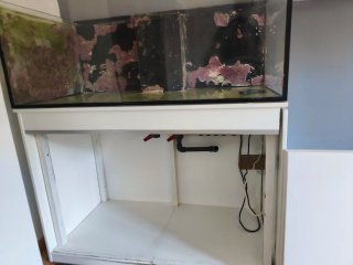 Acuario Marino, urna, mueble, sump y tuberias