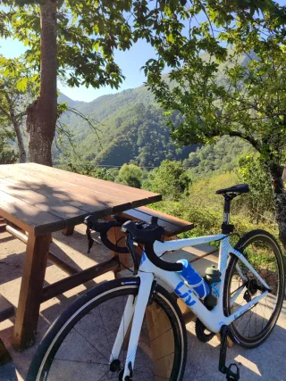 Bici da strada aero in carbonio da donna