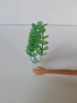 pianta decorativa Barbie