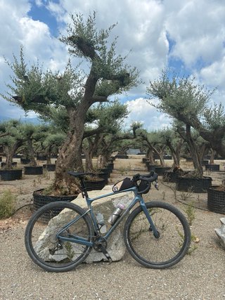 Bicicleta Gravel carbono Giant Revolt Advanced 1