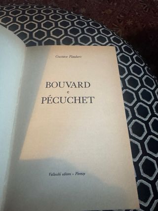 Gustave Flaubert Bouvard e Pevuchet