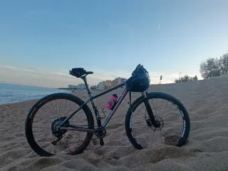 Specialized Crave Pro