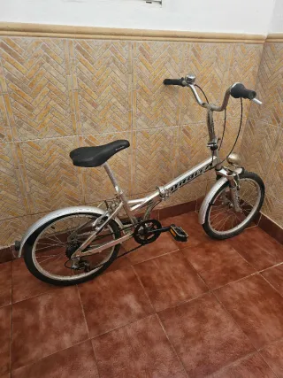 Bicicleta plegable aluminio