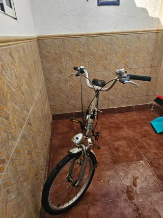 Bicicleta plegable aluminio