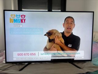 Televisor Sony Negro