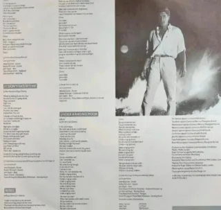 Vinilo LP Roger Daltrey (The Who)- Under a Raging