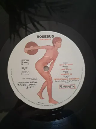 LP Rosebud A Tribute To Pink Floyd