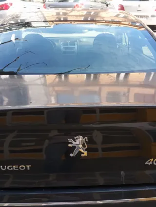 Peugeot 407 2006