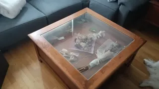 Mesa de centro de madera y cristal