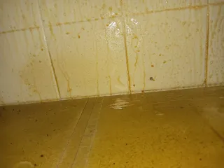 Busco Limpieza por horas