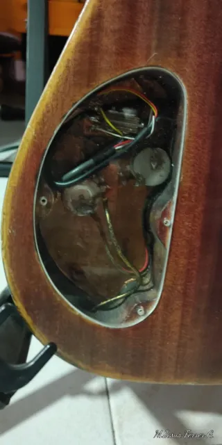 Guitarra Eléctrica JF Erotica