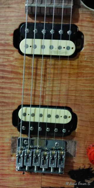 Guitarra Eléctrica JF Erotica