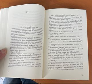 Una voce dal nulla