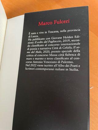 Una voce dal nulla
