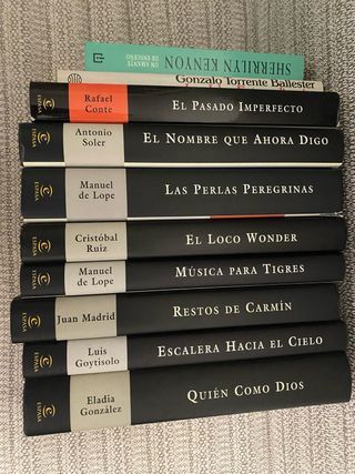 Conjunto de libros en buen estado.