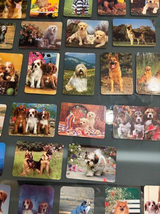 Lote 61 calendarios de mano de perros