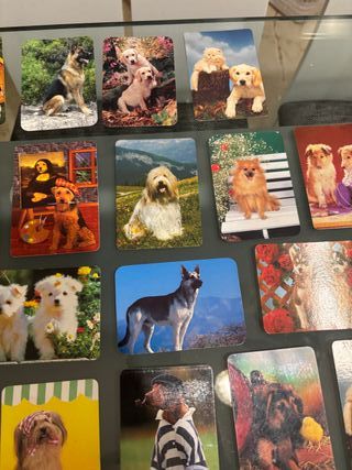 Lote 61 calendarios de mano de perros