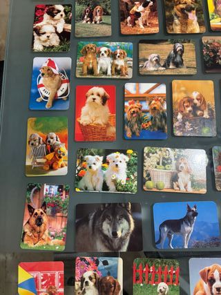 Lote 61 calendarios de mano de perros