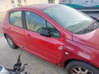 Peugeot 307 2004
