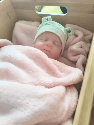 Muñeca Reborn Bebé Rana