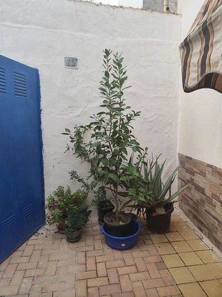 Chalet en venta en Albatera