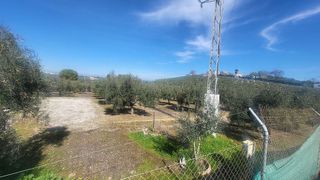 Casa rural en venta en Montilla
