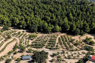 Casa en venta en Ibi