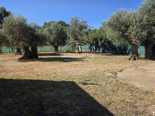 Chalet en venta en Alcalá de los Gazules