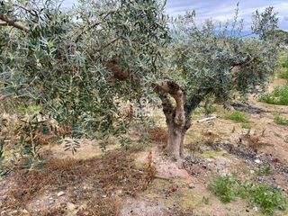 Chalet en venta en Totana