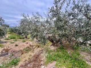 Chalet en venta en Totana