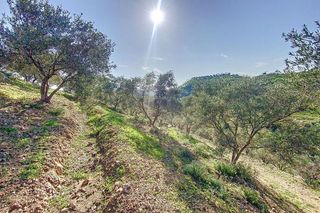 Cortijo en venta en Pizarra