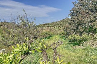 Cortijo en venta en Pizarra
