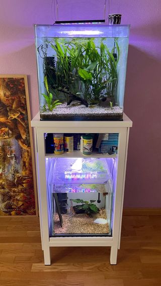 Acuario Blau y Atlantis con grava