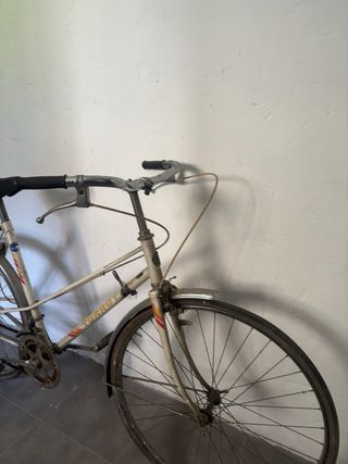 Bicicleta Torrot Vintage