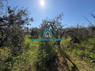 Casa rural en venta en Puebla del Río (La)