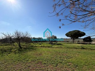 Casa rural en venta en Puebla del Río (La)