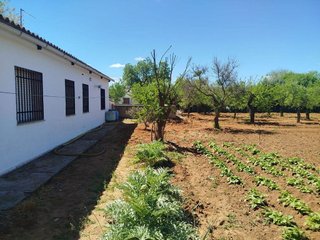 Chalet en venta en Argamasilla de Calatrava