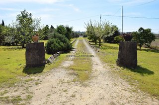 Casa rural en venta en Palma del Condado (La)