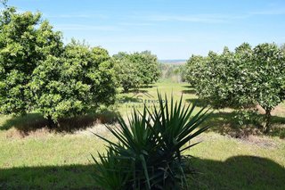 Casa rural en venta en Palma del Condado (La)