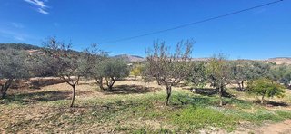 Chalet en venta en Sax